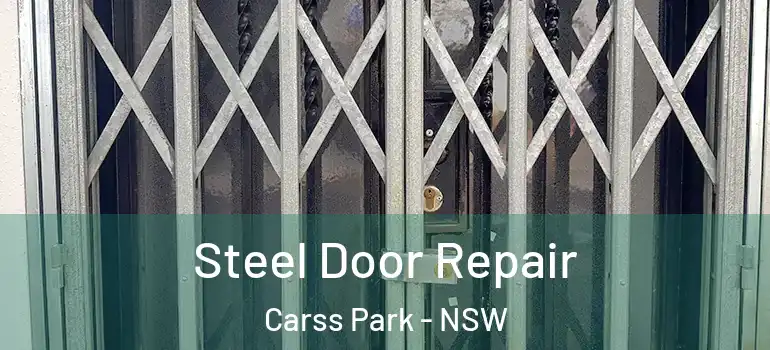 Steel Door Repair Carss Park - NSW
