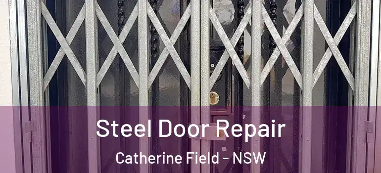 Steel Door Repair Catherine Field - NSW