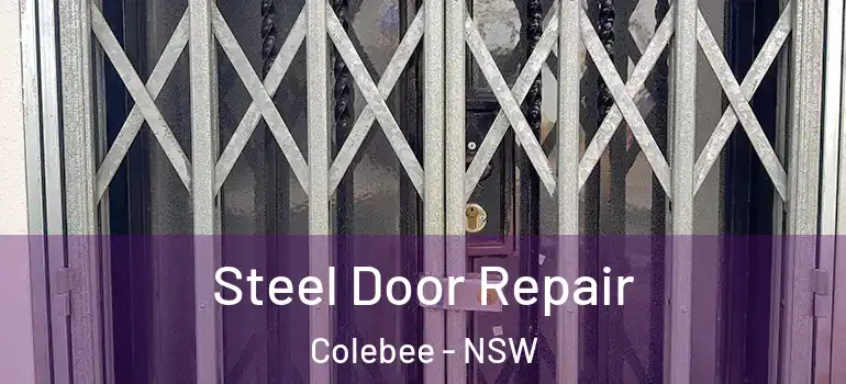 Steel Door Repair Colebee - NSW