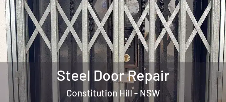 Steel Door Repair Constitution Hill - NSW