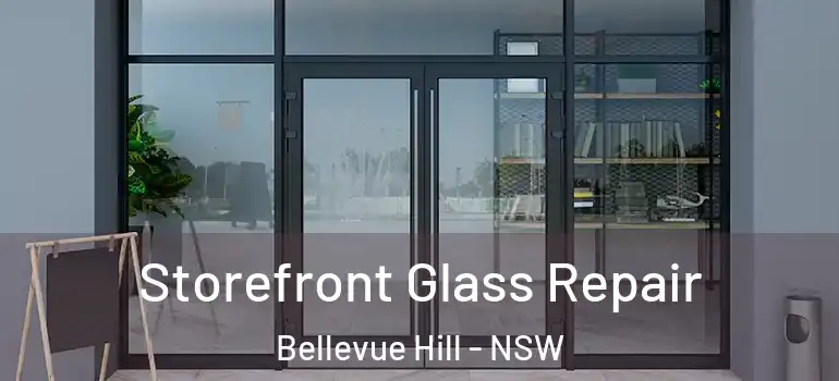 Storefront Glass Repair Bellevue Hill - NSW