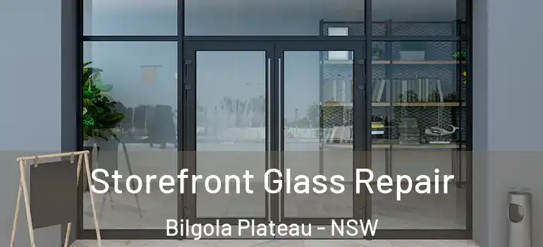 Storefront Glass Repair Bilgola Plateau - NSW