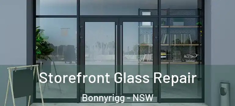 Storefront Glass Repair Bonnyrigg - NSW