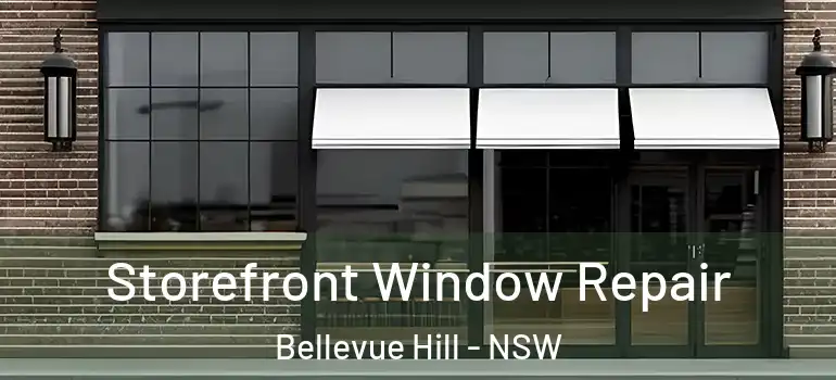 Storefront Window Repair Bellevue Hill - NSW