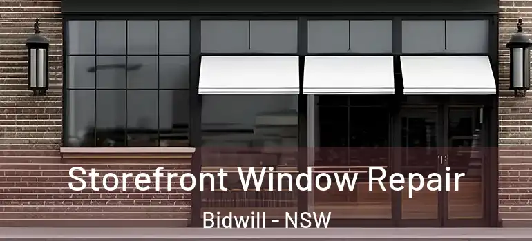 Storefront Window Repair Bidwill - NSW