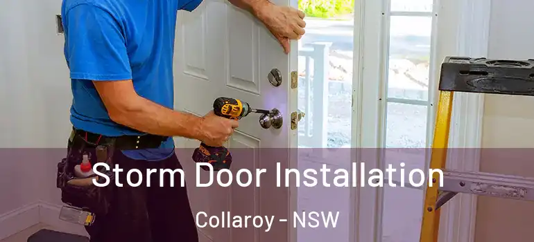 Storm Door Installation Collaroy - NSW