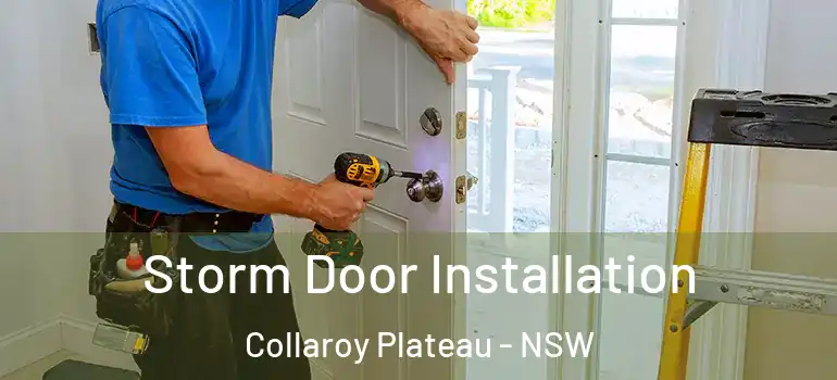 Storm Door Installation Collaroy Plateau - NSW