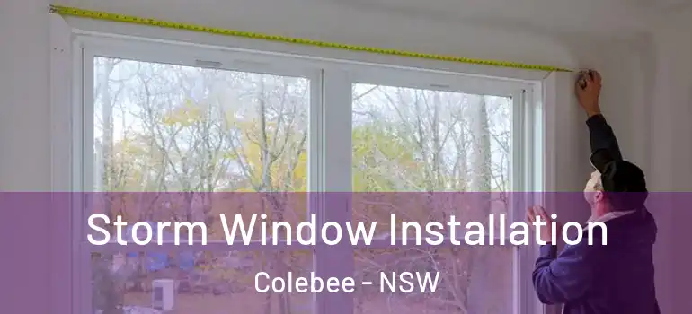 Storm Window Installation Colebee - NSW