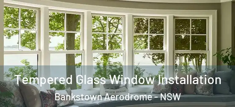 Tempered Glass Window Installation Bankstown Aerodrome - NSW