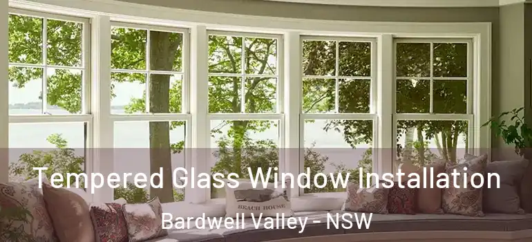 Tempered Glass Window Installation Bardwell Valley - NSW