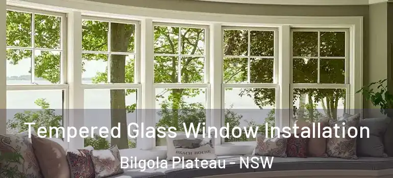 Tempered Glass Window Installation Bilgola Plateau - NSW