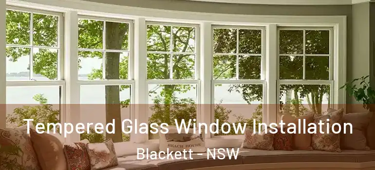 Tempered Glass Window Installation Blackett - NSW