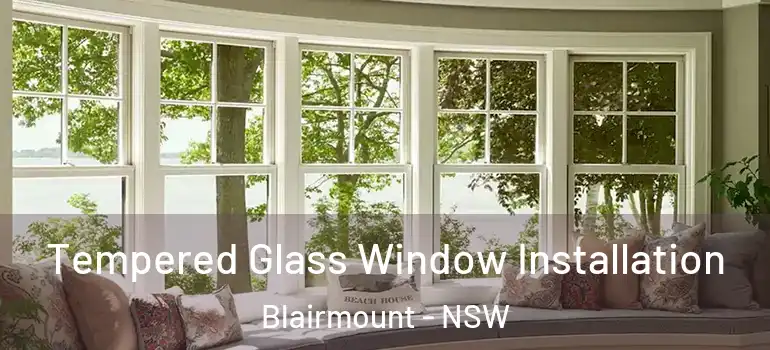 Tempered Glass Window Installation Blairmount - NSW