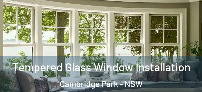Tempered Glass Window Installation Cambridge Park - NSW