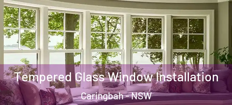 Tempered Glass Window Installation Caringbah - NSW