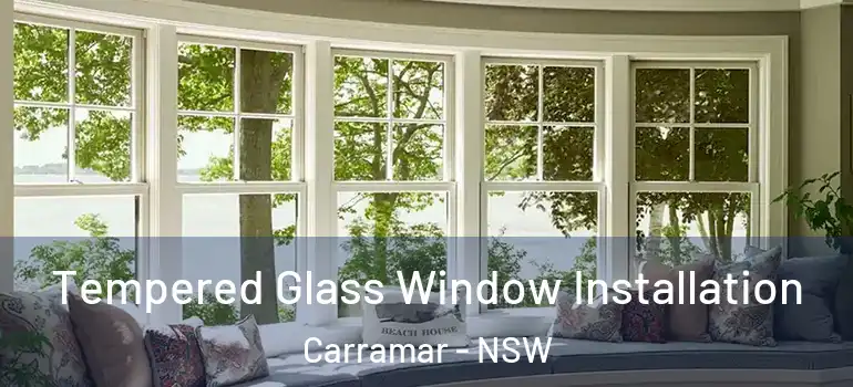  Tempered Glass Window Installation Carramar - NSW
