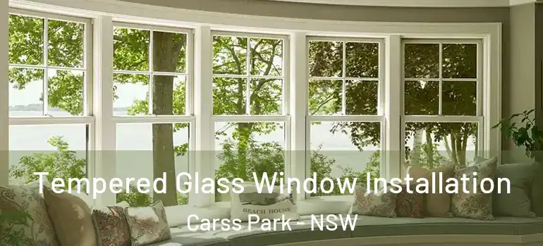 Tempered Glass Window Installation Carss Park - NSW
