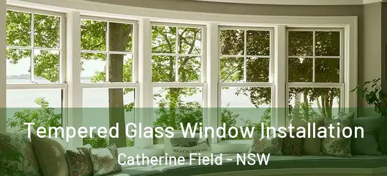 Tempered Glass Window Installation Catherine Field - NSW