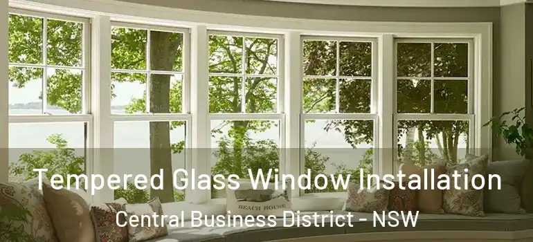  Tempered Glass Window Installation Central Business District - NSW