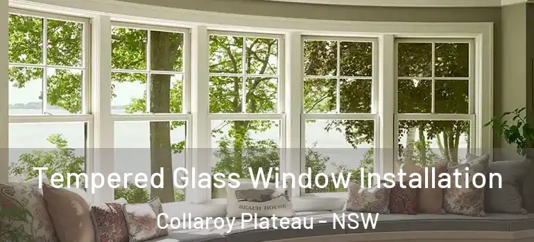Tempered Glass Window Installation Collaroy Plateau - NSW