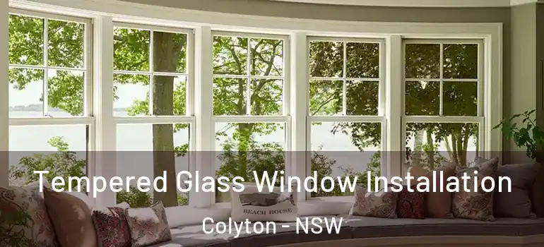  Tempered Glass Window Installation Colyton - NSW