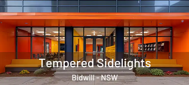  Tempered Sidelights Bidwill - NSW