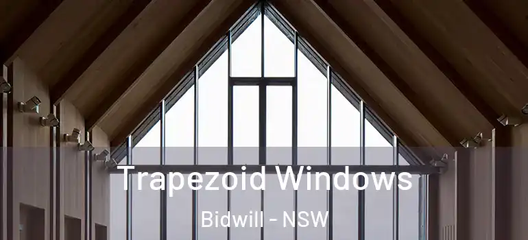 Trapezoid Windows Bidwill - NSW