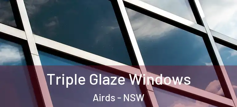 Triple Glaze Windows Airds - NSW