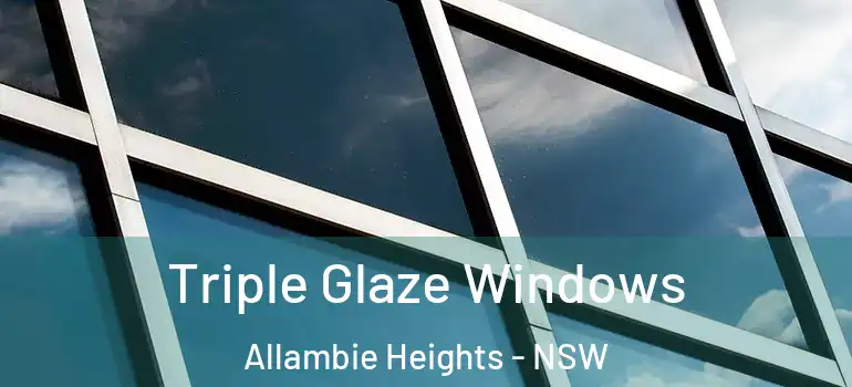 Triple Glaze Windows Allambie Heights - NSW