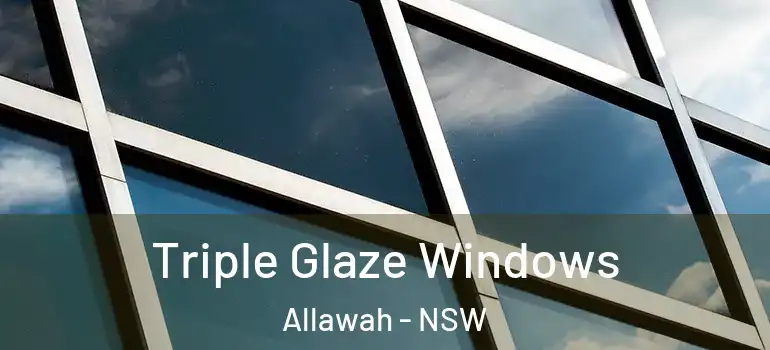 Triple Glaze Windows Allawah - NSW