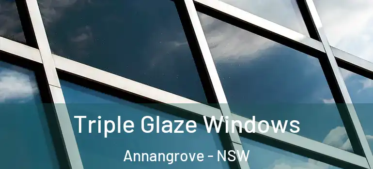 Triple Glaze Windows Annangrove - NSW