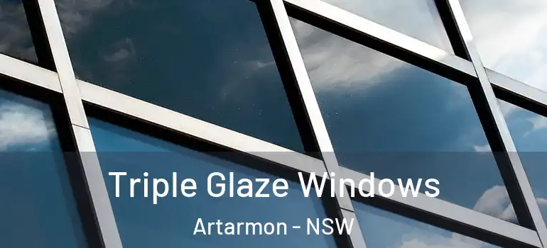 Triple Glaze Windows Artarmon - NSW