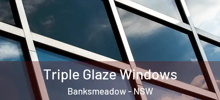 Triple Glaze Windows Banksmeadow - NSW