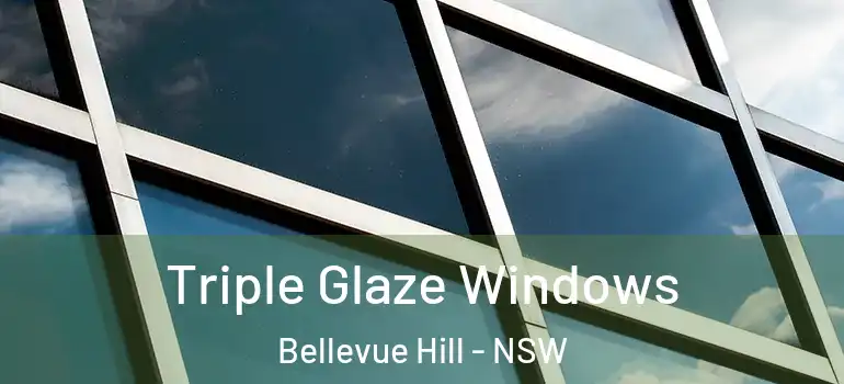 Triple Glaze Windows Bellevue Hill - NSW