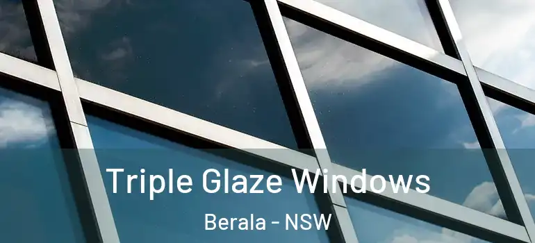 Triple Glaze Windows Berala - NSW