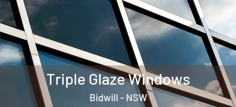 Triple Glaze Windows Bidwill - NSW