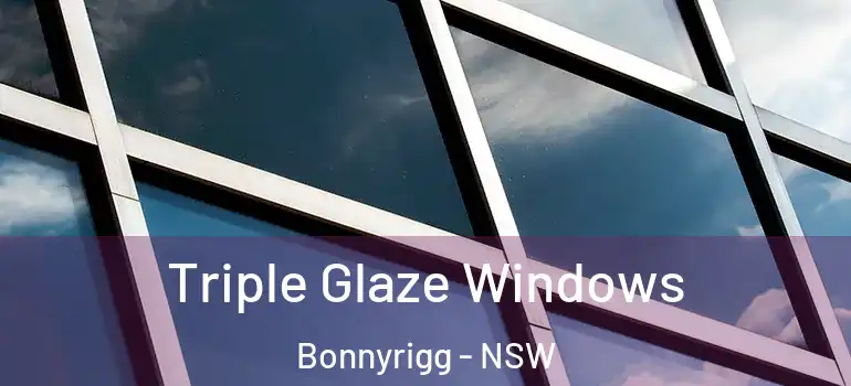 Triple Glaze Windows Bonnyrigg - NSW