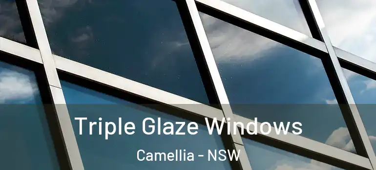 Triple Glaze Windows Camellia - NSW