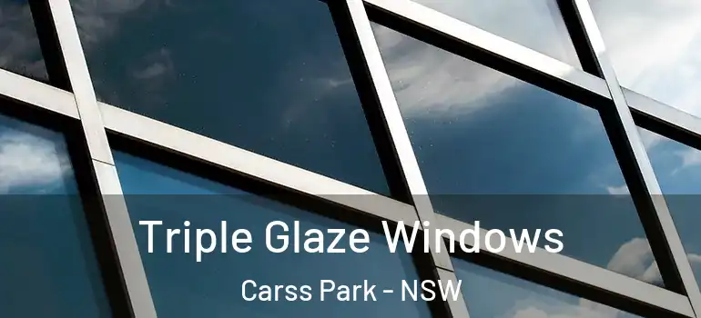 Triple Glaze Windows Carss Park - NSW