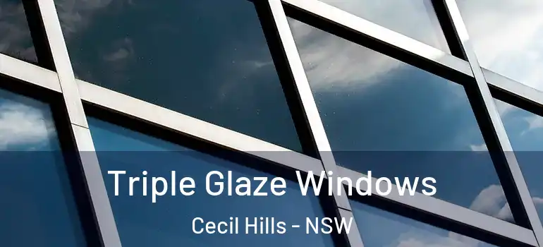 Triple Glaze Windows Cecil Hills - NSW