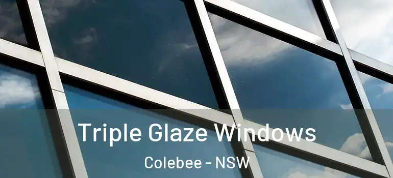 Triple Glaze Windows Colebee - NSW