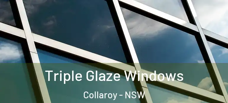 Triple Glaze Windows Collaroy - NSW