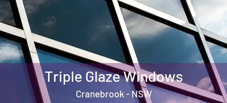 Triple Glaze Windows Cranebrook - NSW