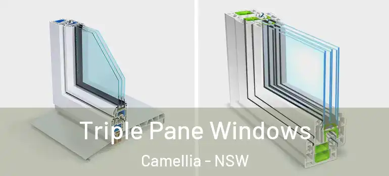 Triple Pane Windows Camellia - NSW