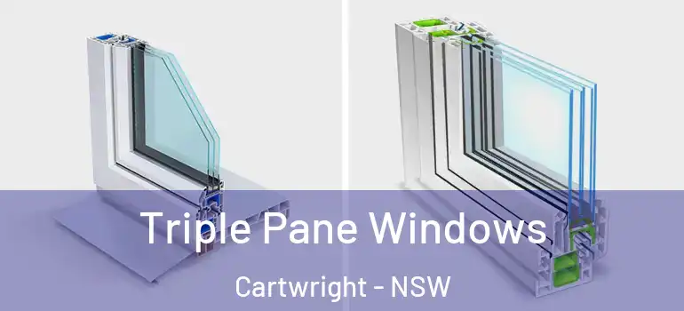  Triple Pane Windows Cartwright - NSW