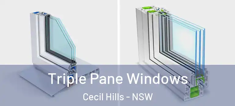 Triple Pane Windows Cecil Hills - NSW