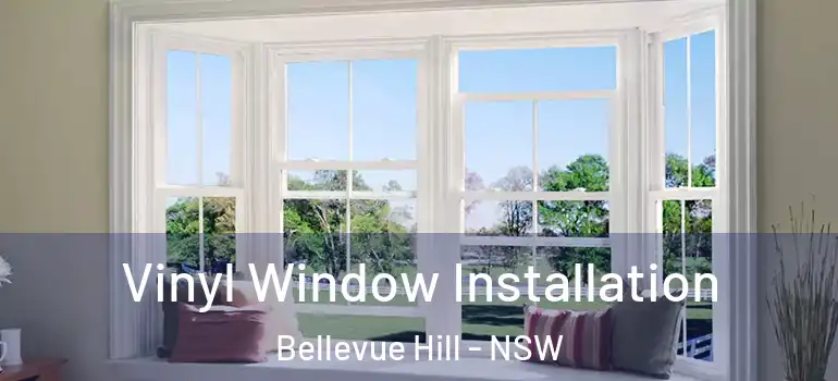 Vinyl Window Installation Bellevue Hill - NSW