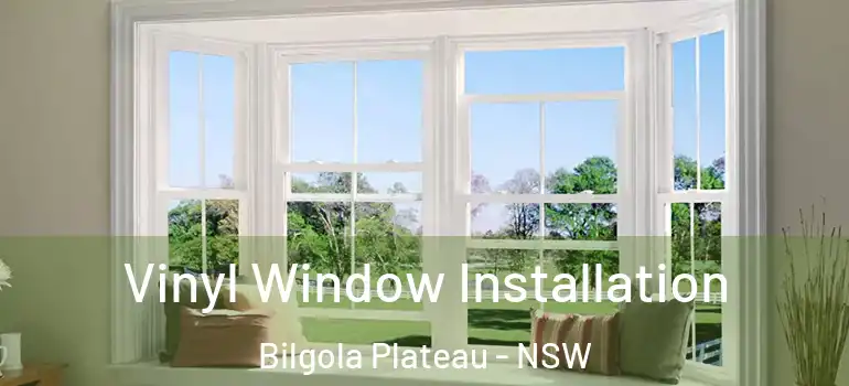 Vinyl Window Installation Bilgola Plateau - NSW