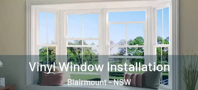 Vinyl Window Installation Blairmount - NSW