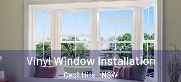 Vinyl Window Installation Cecil Hills - NSW
